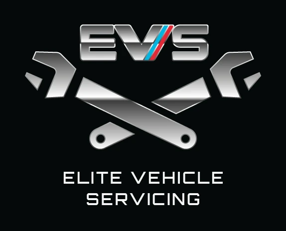 EVS Logo